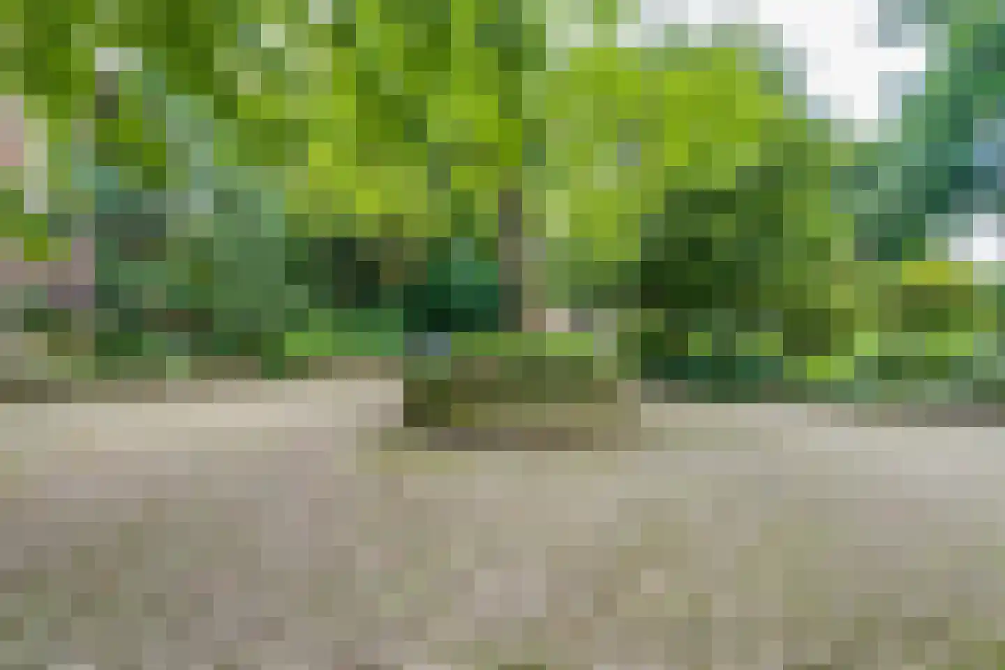 Vijverberg 5 Bussum thumbnail 53