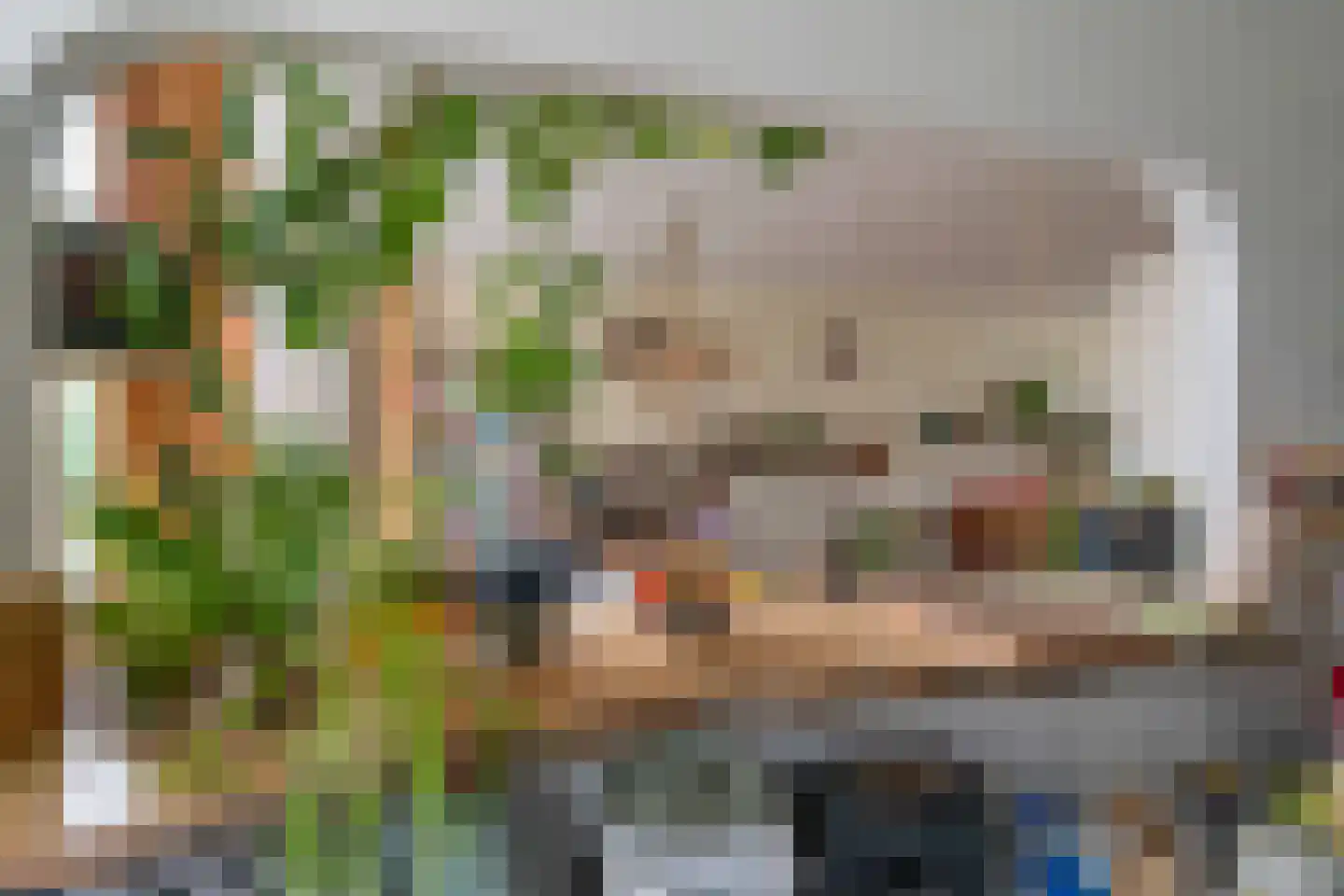 Vijverbergstraat 9 Noordgouwe thumbnail 10