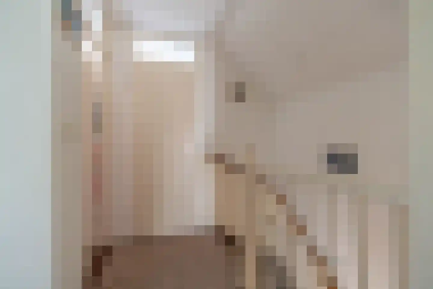 Vijverbergstraat 9 Noordgouwe thumbnail 13