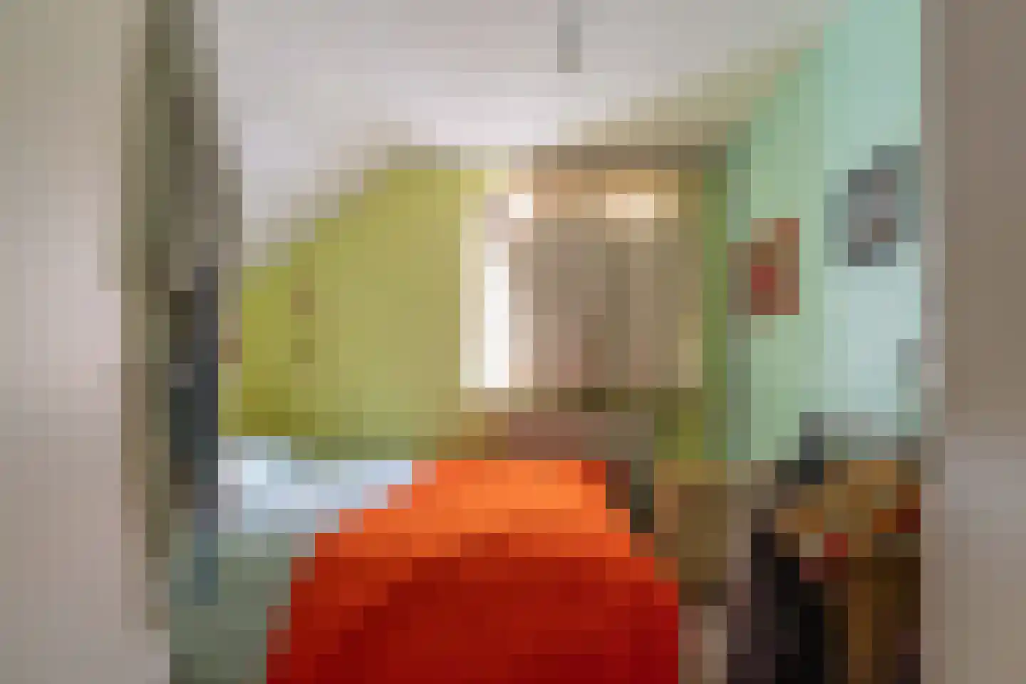 Vijverbergstraat 9 Noordgouwe thumbnail 16