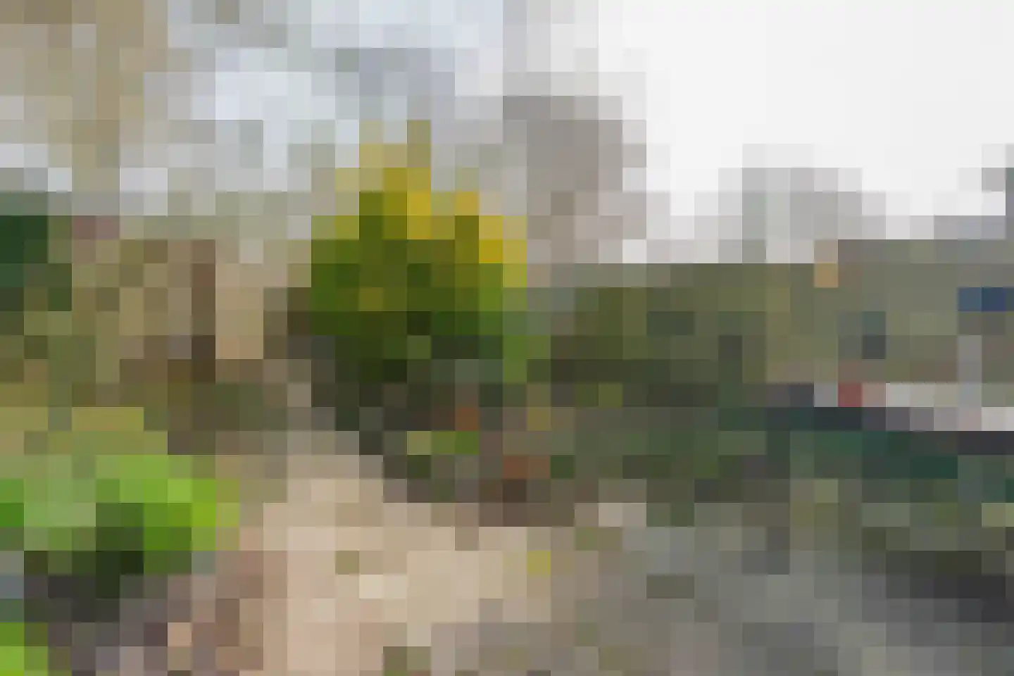 Vijverbergstraat 9 Noordgouwe thumbnail 22