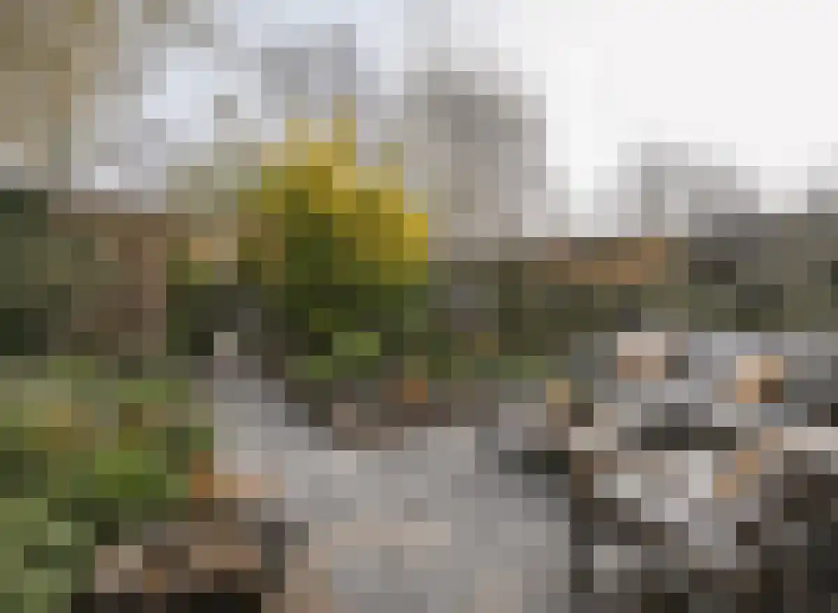 Vijverbergstraat 9 Noordgouwe thumbnail 23
