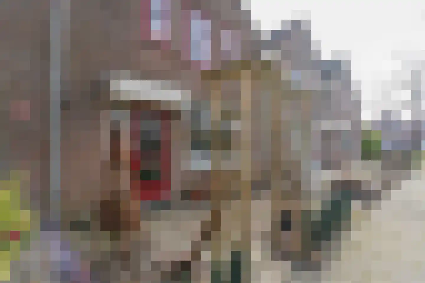 Vijverbergstraat 9 Noordgouwe thumbnail 25