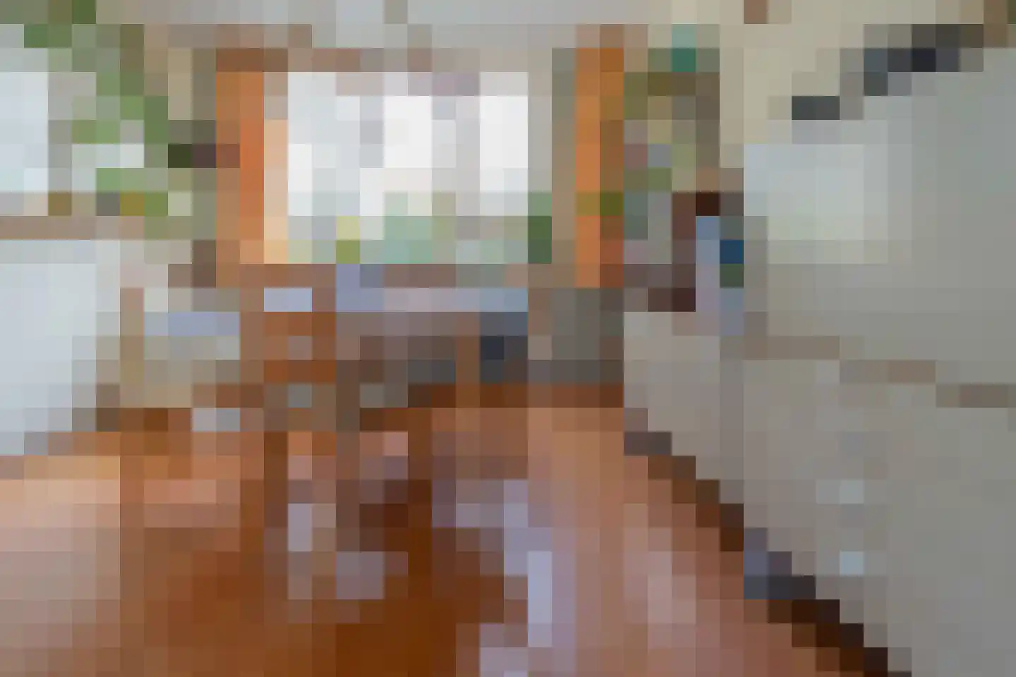 Vijverbergstraat 9 Noordgouwe thumbnail 4