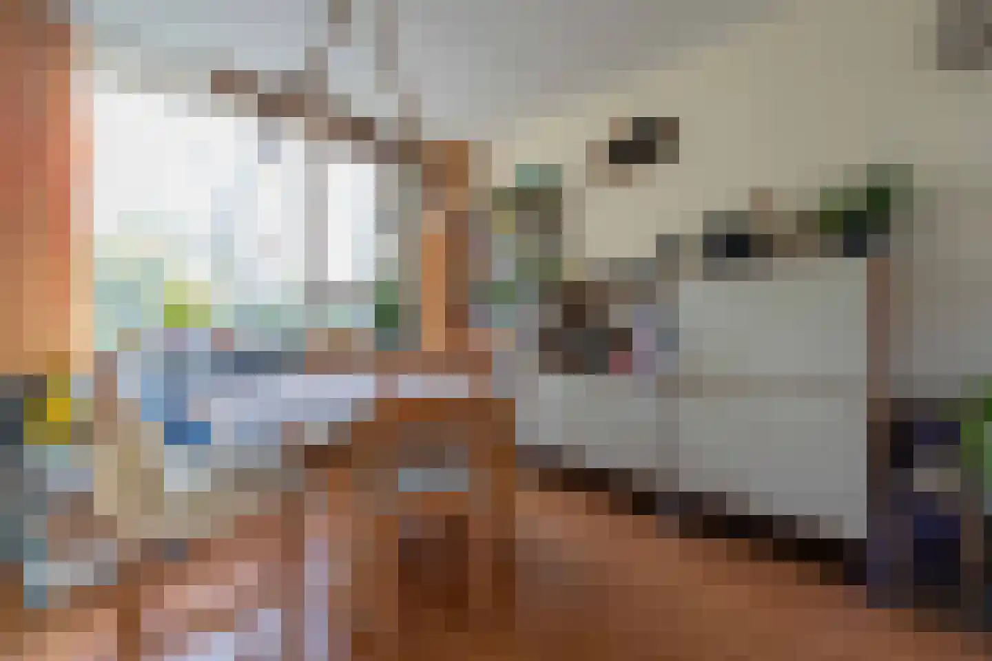 Vijverbergstraat 9 Noordgouwe thumbnail 5