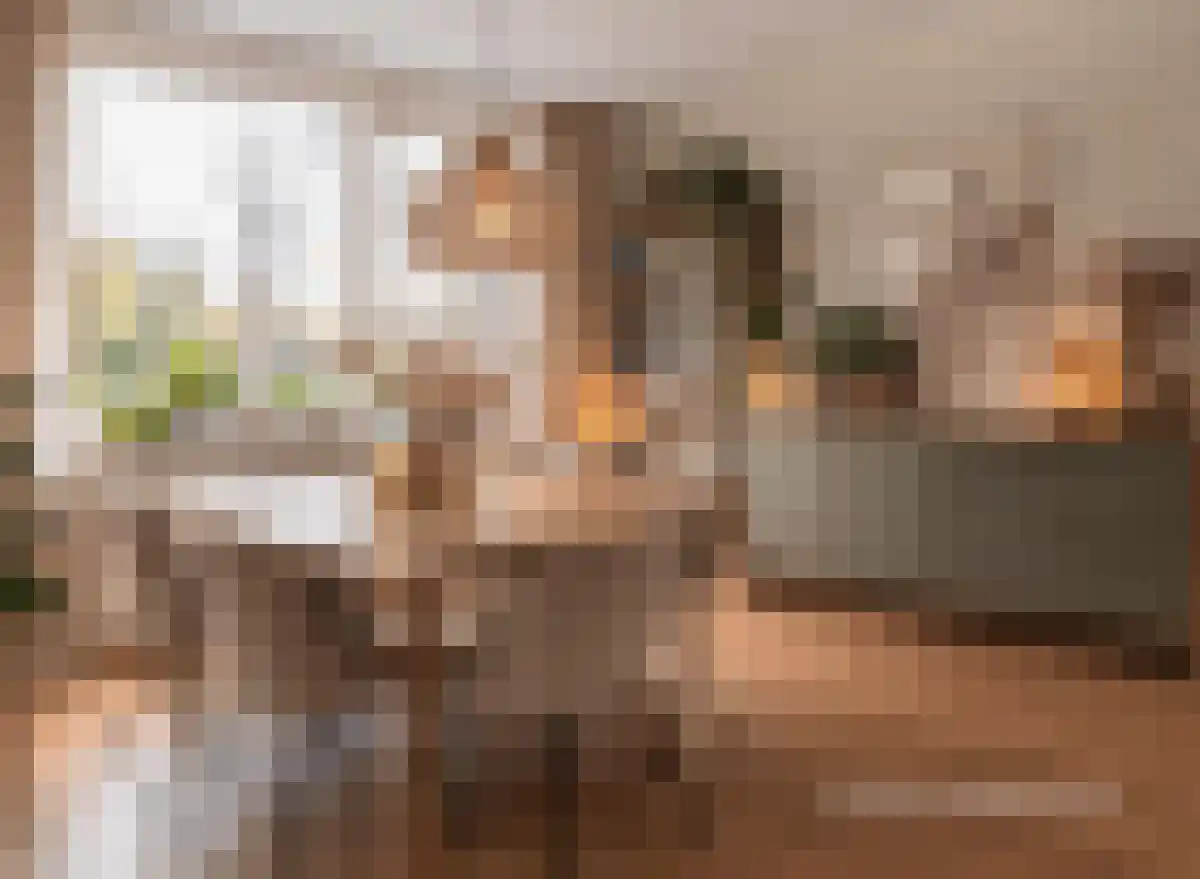 Vijverbergstraat 9 Noordgouwe thumbnail 6