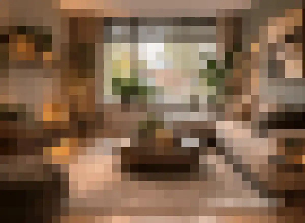 Vijverbergstraat 9 Noordgouwe thumbnail 9