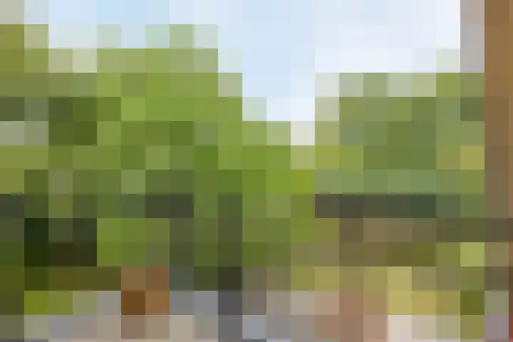 Vijverbos 11 Almere thumbnail 37