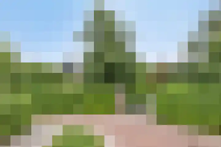 Vijverbos 11 Almere thumbnail 5