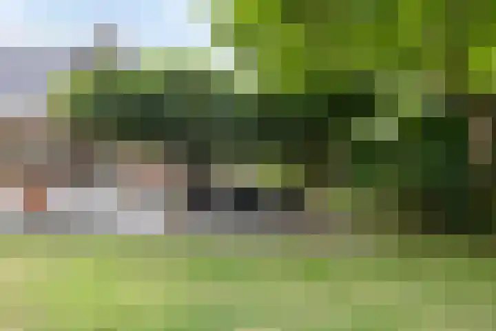 Vijverbos 11 Almere thumbnail 56