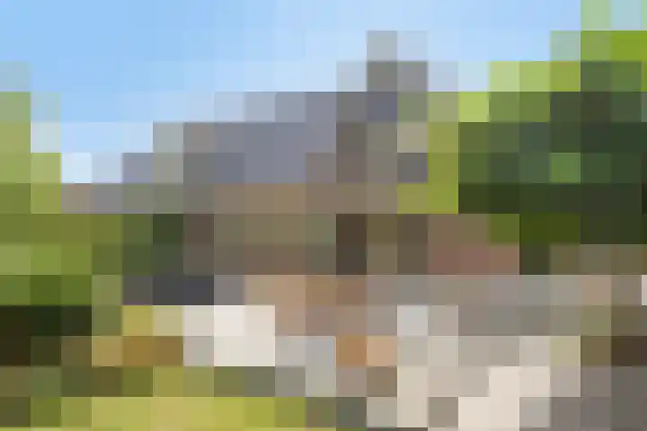 Vijverbos 11 Almere thumbnail 57