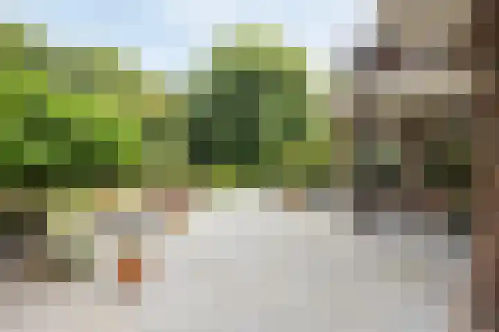 Vijverbos 11 Almere thumbnail 59
