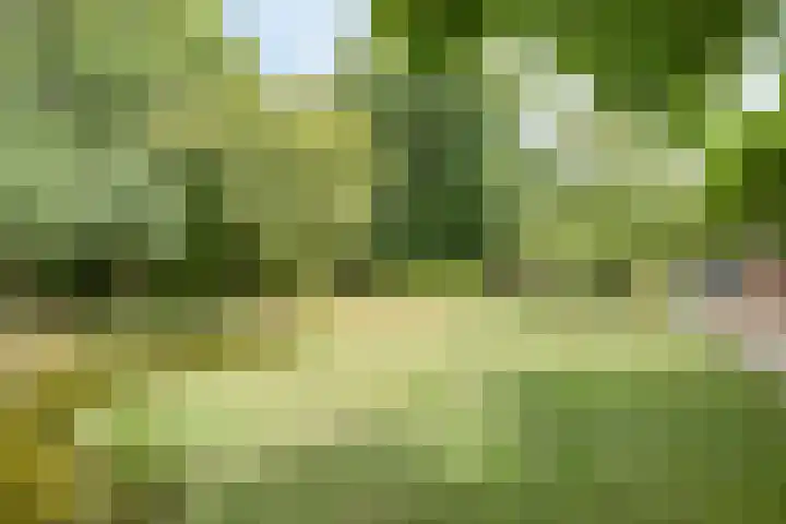 Vijverbos 11 Almere thumbnail 60