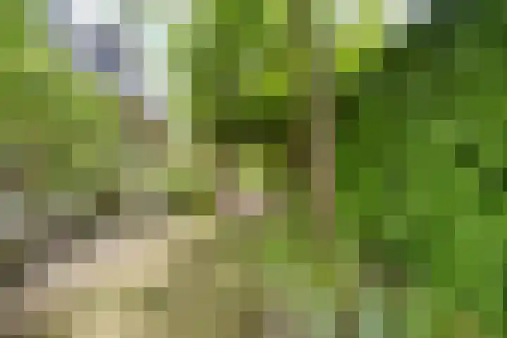 Vijverbos 11 Almere thumbnail 61