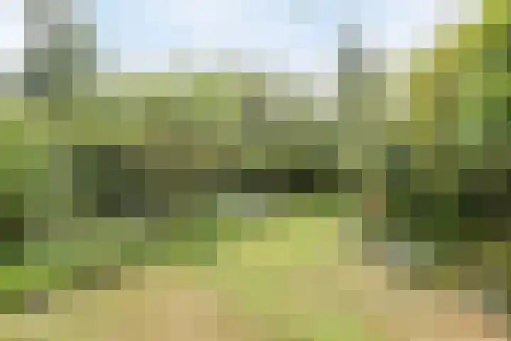 Vijverbos 11 Almere thumbnail 62