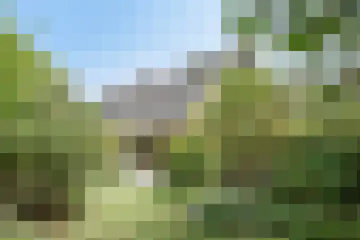 Vijverbos 11 Almere thumbnail 63