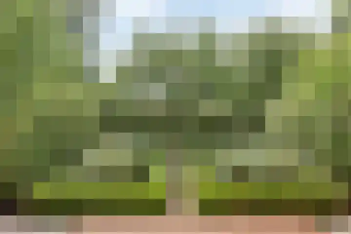 Vijverbos 11 Almere thumbnail 64