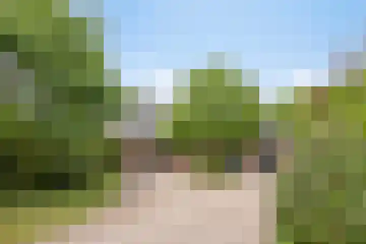 Vijverbos 11 Almere thumbnail 65