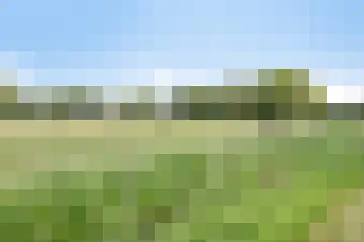 Vijverbos 11 Almere thumbnail 67