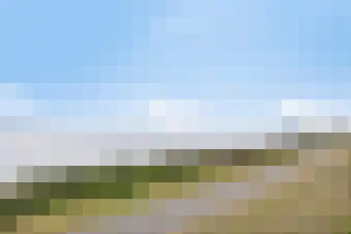 Vijverbos 11 Almere thumbnail 68