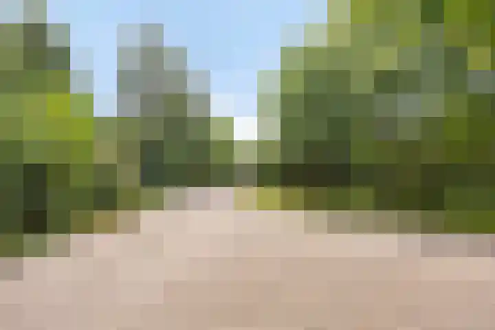 Vijverbos 11 Almere thumbnail 8