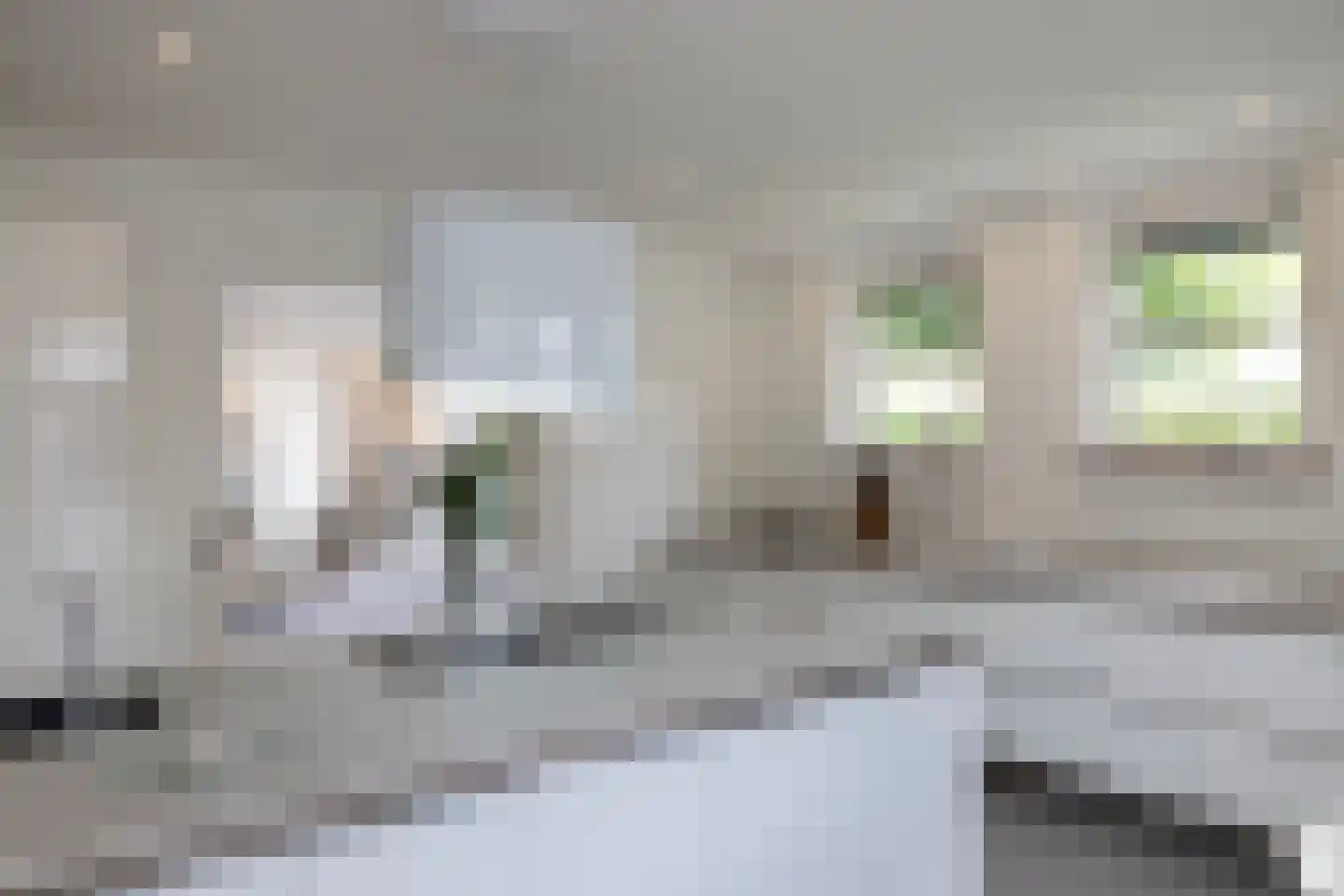 Vijverbos 20 Almere thumbnail 10
