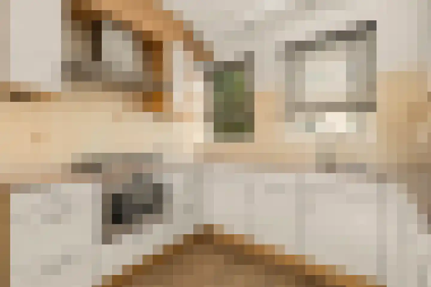 Vijverbos 31 Hoofddorp thumbnail 11