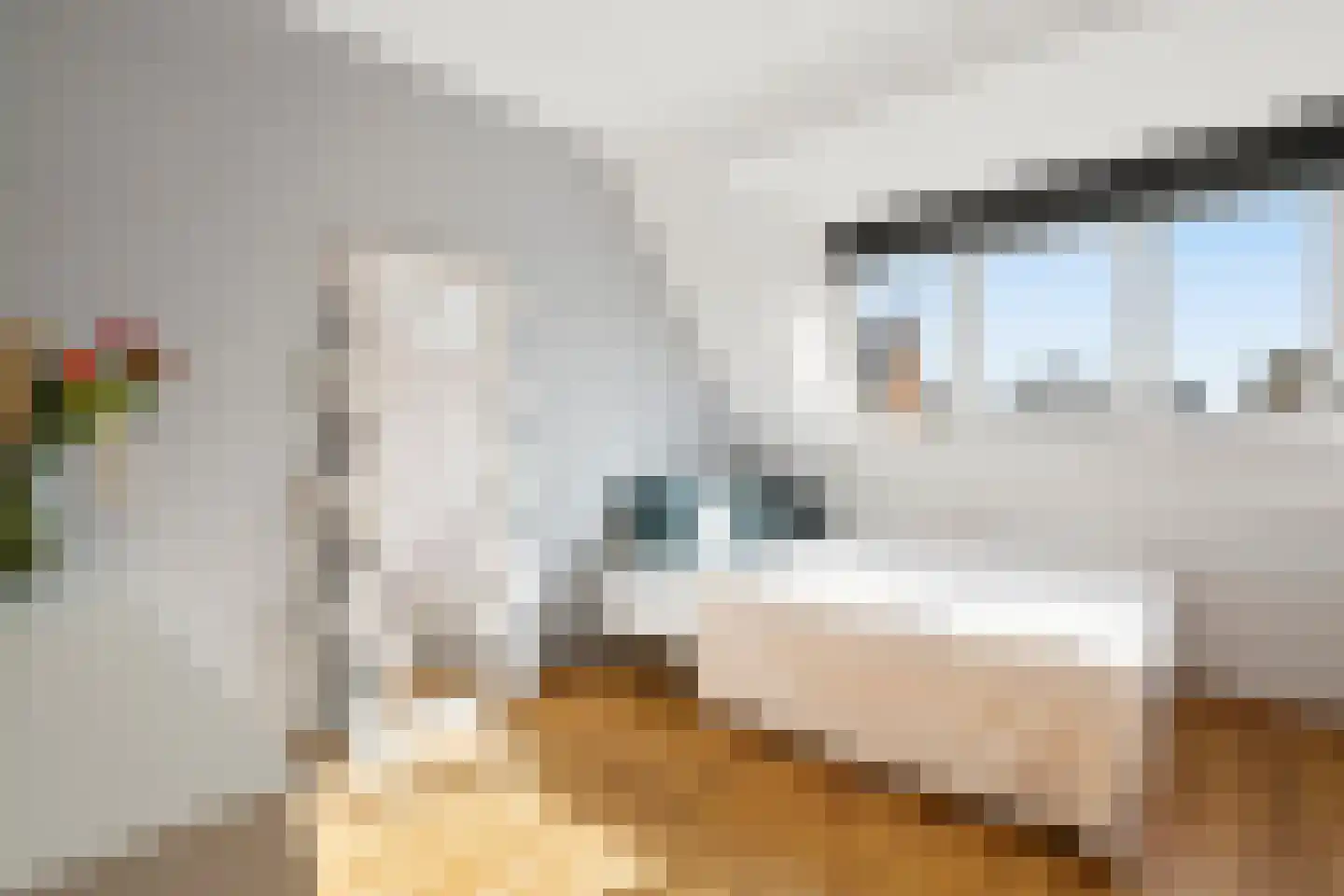 Vijverbos 31 Hoofddorp thumbnail 16
