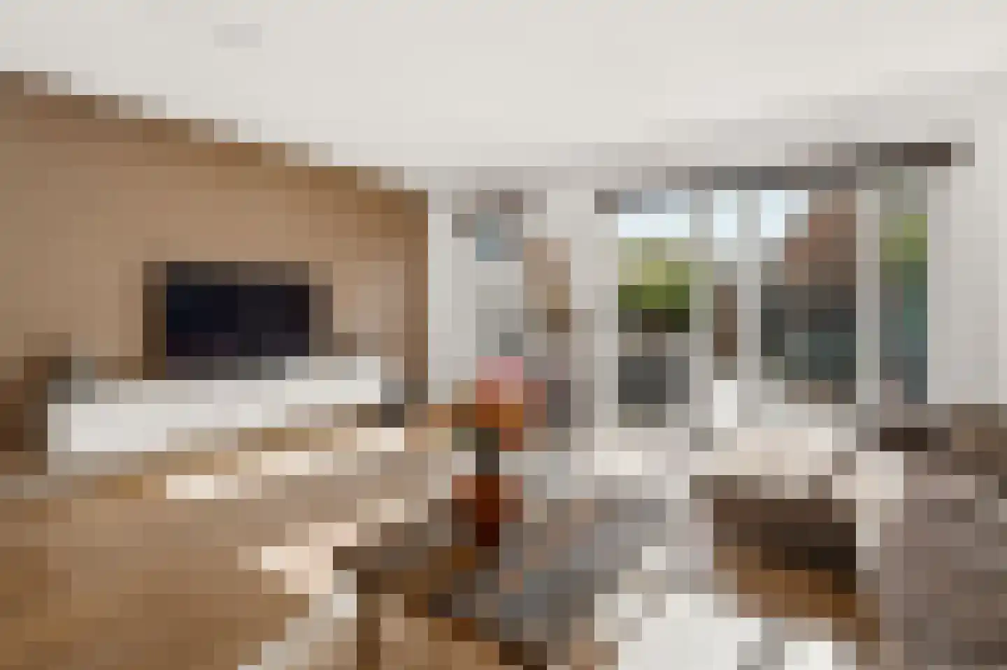 Vijverbos 31 Hoofddorp thumbnail 4