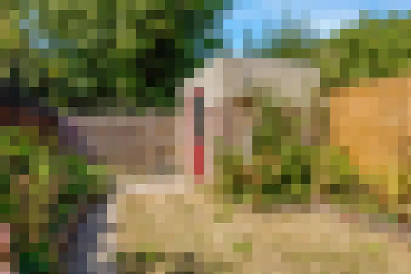 Vijverbos 62 Hoofddorp thumbnail 12