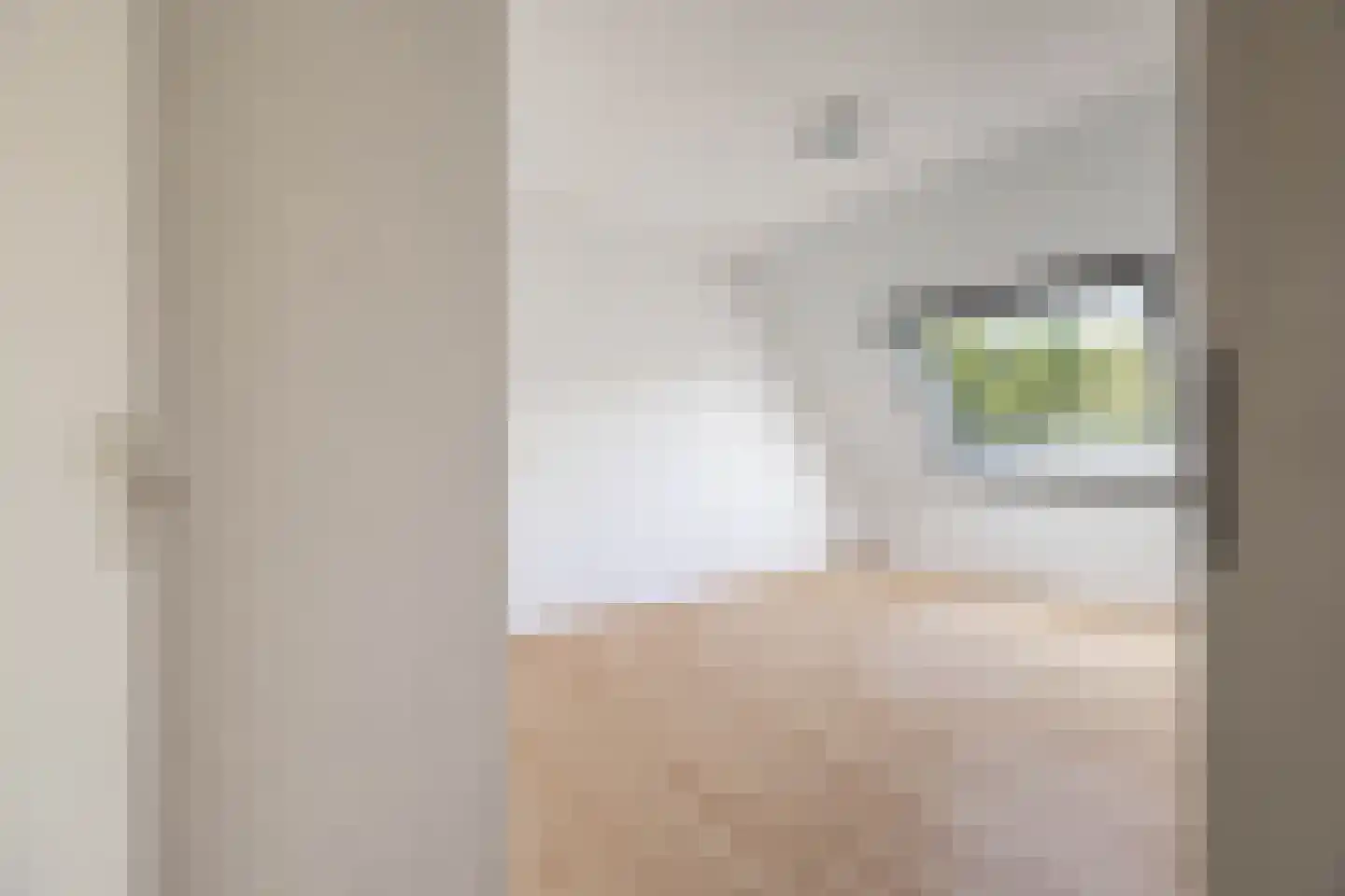 Vijverbos 62 Hoofddorp thumbnail 19