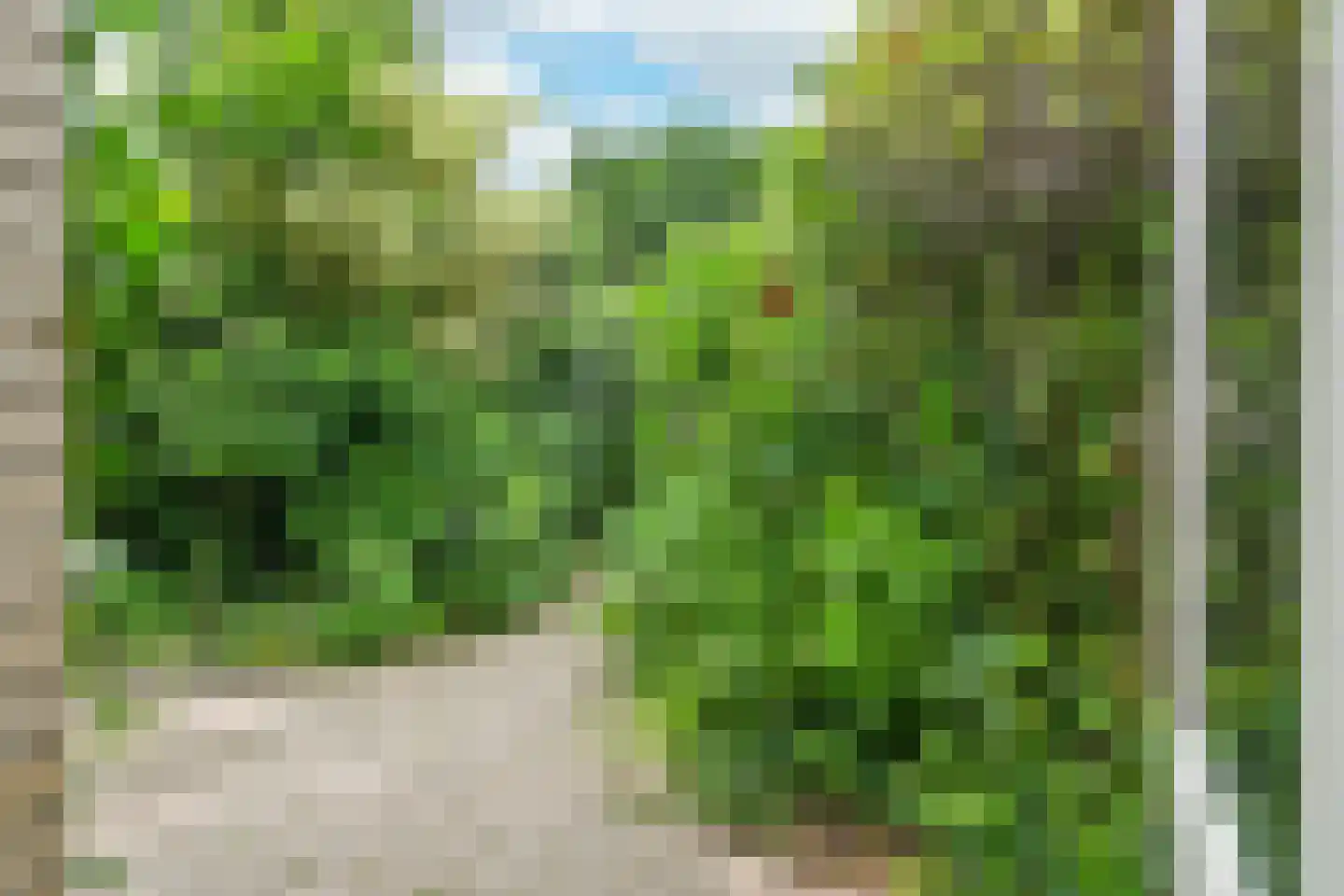 Vijverbos 88 Hoofddorp thumbnail 18