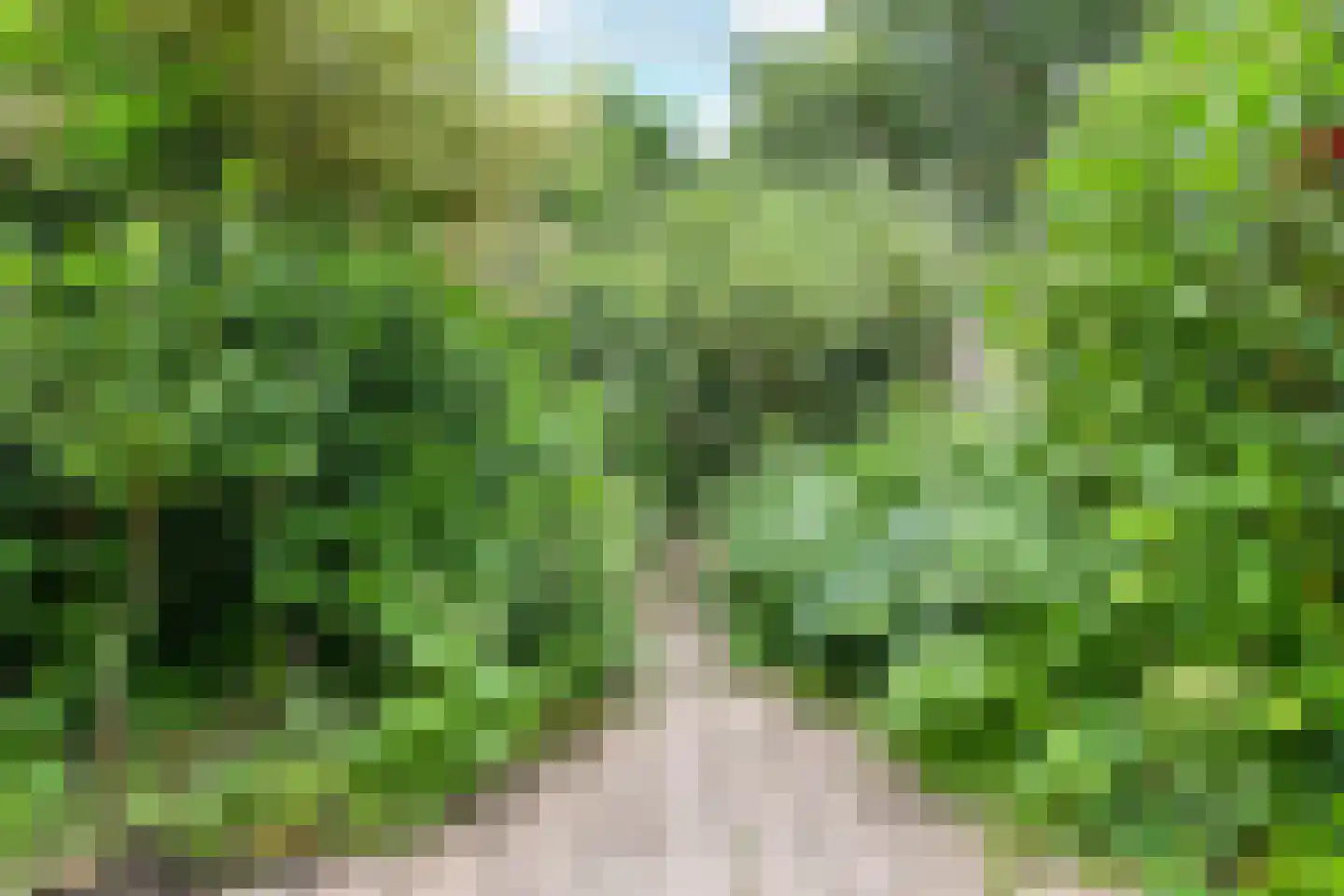 Vijverbos 88 Hoofddorp thumbnail 19