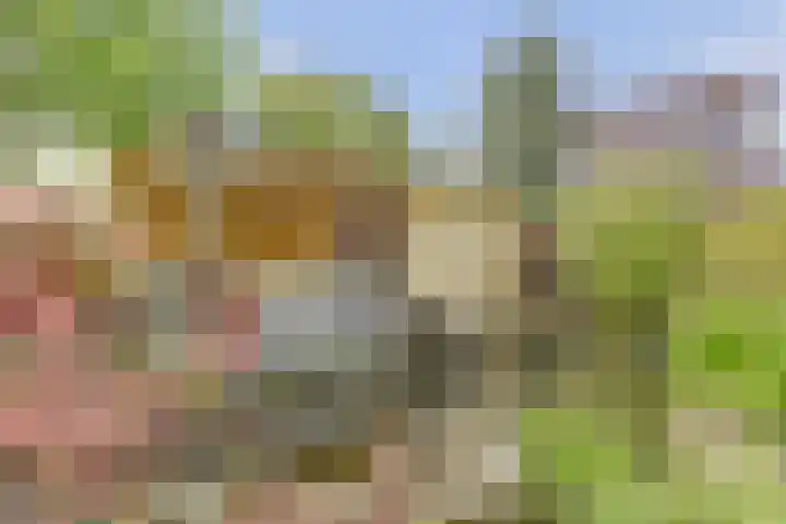Vijverboslaan 11 Spijkenisse thumbnail 12