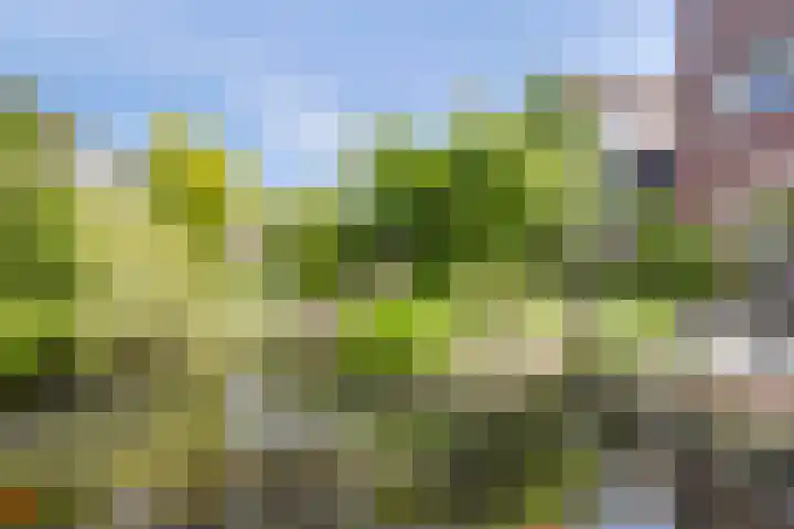 Vijverboslaan 11 Spijkenisse thumbnail 13