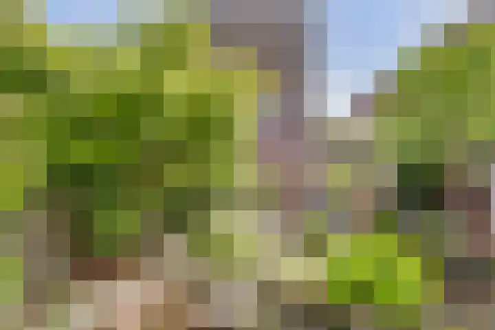 Vijverboslaan 11 Spijkenisse thumbnail 14