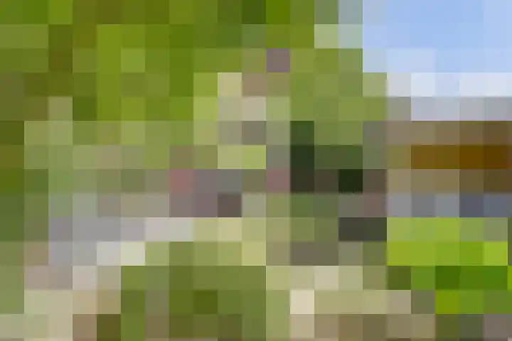 Vijverboslaan 11 Spijkenisse thumbnail 15