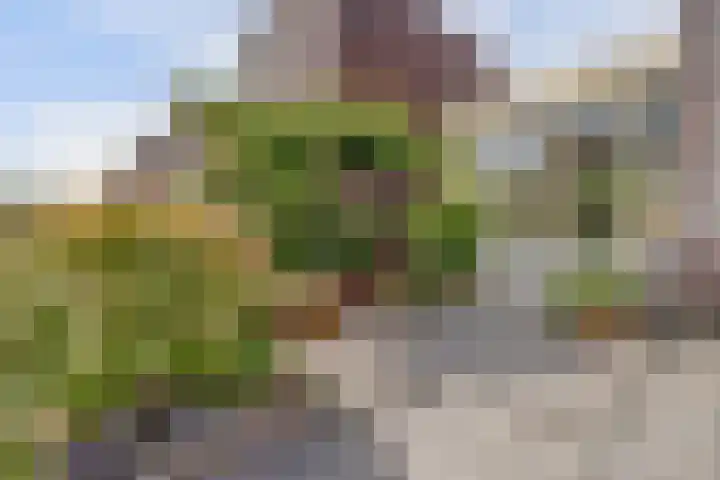 Vijverboslaan 11 Spijkenisse thumbnail 16