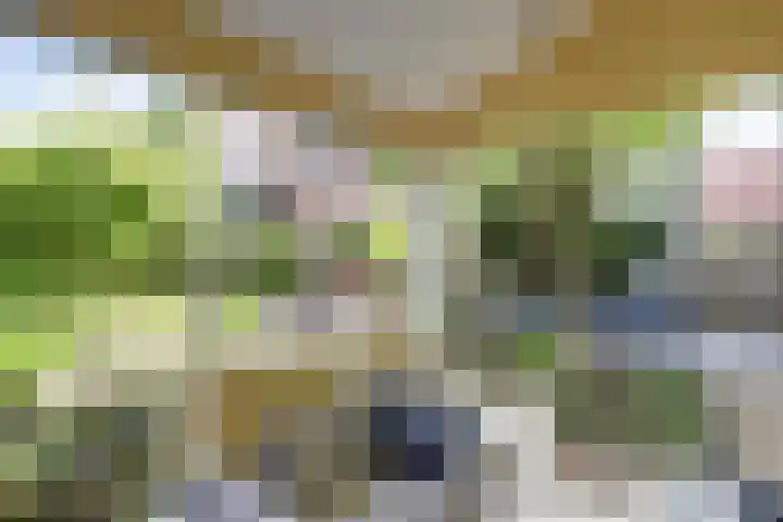 Vijverboslaan 11 Spijkenisse thumbnail 17