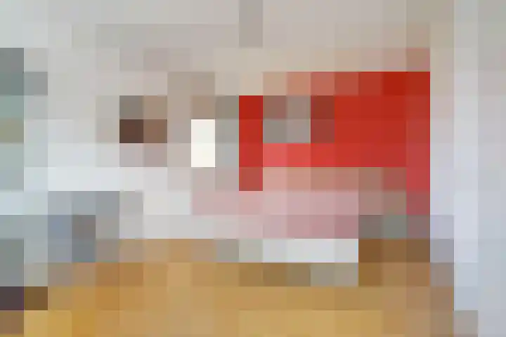 Vijverboslaan 11 Spijkenisse thumbnail 19