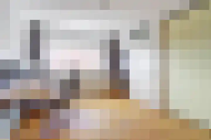 Vijverboslaan 11 Spijkenisse thumbnail 27
