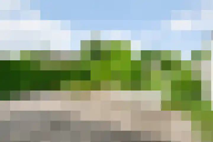 Vijverbroekstraat 25 Neeritter thumbnail 28