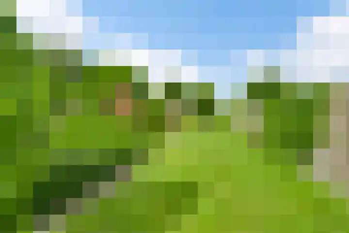 Vijverbroekstraat 25 Neeritter thumbnail 30