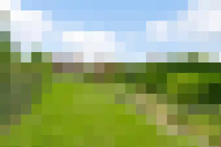 Vijverbroekstraat 25 Neeritter thumbnail 32