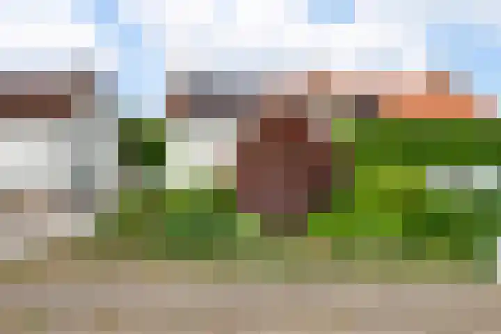 Vijverbroekstraat 25 Neeritter thumbnail 35