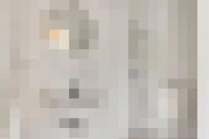 Vijverbroekstraat 25 Neeritter thumbnail 4