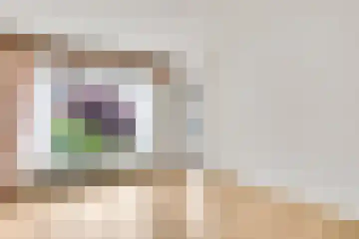 Vijverbroekstraat 25 Neeritter thumbnail 8