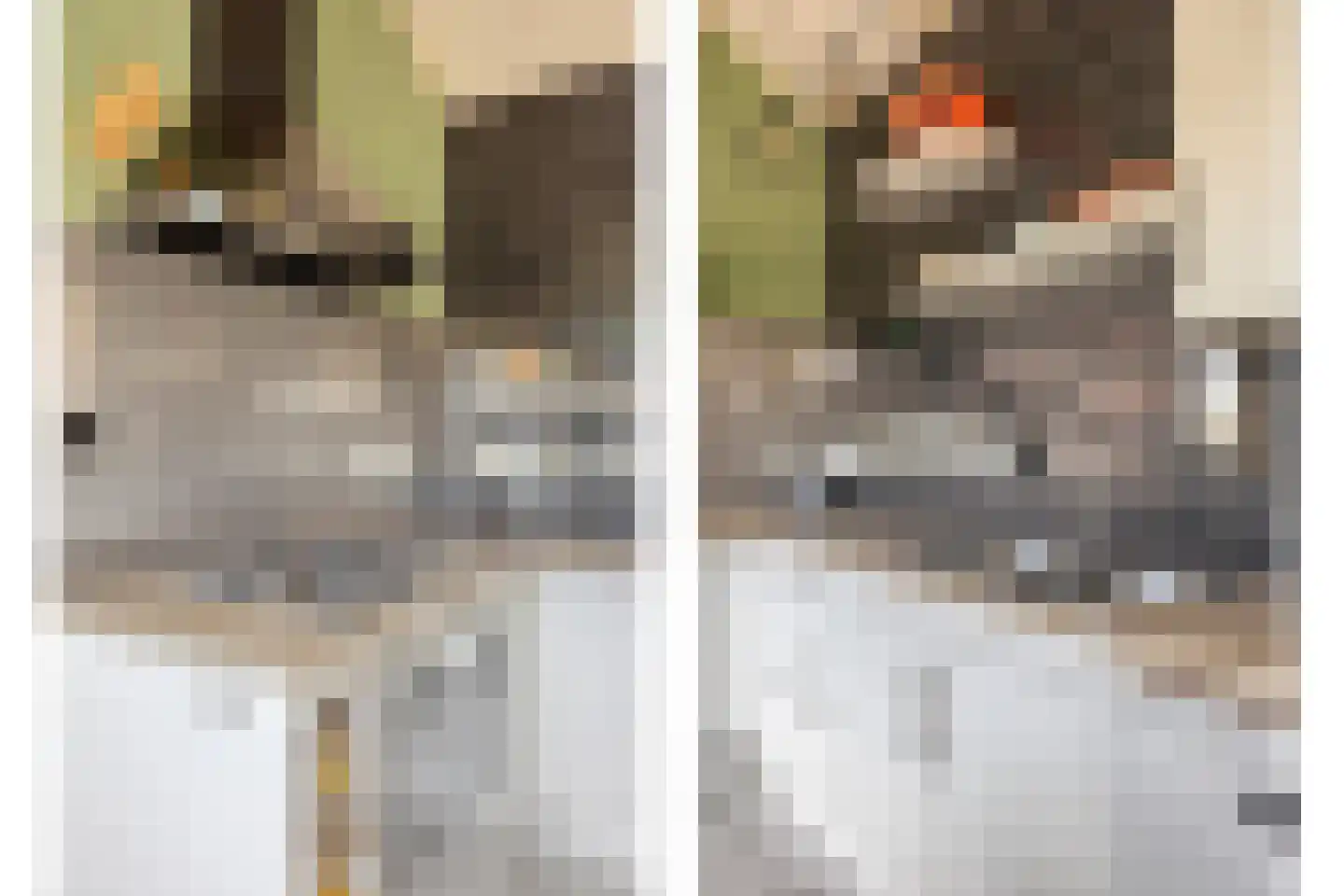 Vijverbroekstraat 33 Neeritter thumbnail 10