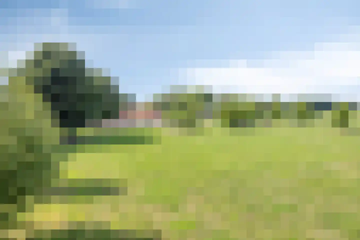Vijverbroekstraat 33 Neeritter thumbnail 22