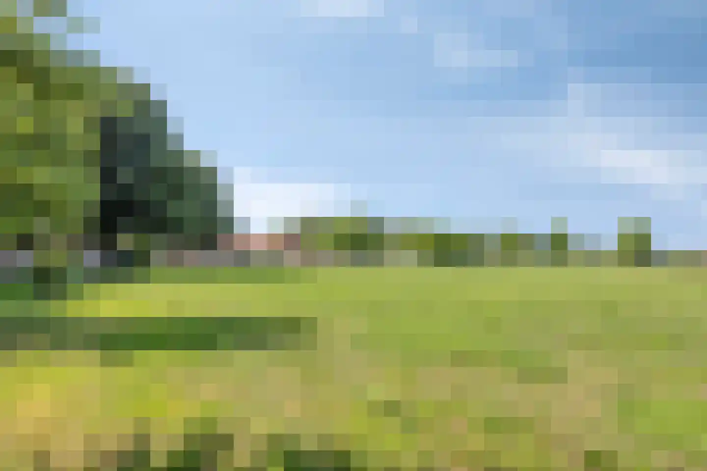 Vijverbroekstraat 33 Neeritter thumbnail 26